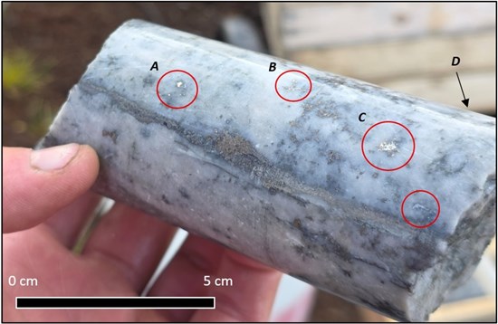 Cannot view this image? Visit: https://topearningguide.com/wp-content/uploads/2025/09/268483_5f17bcd984538af8_001.jpg