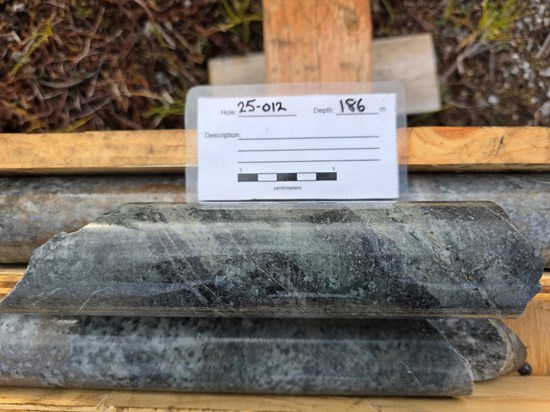 Cannot view this image? Visit: https://topearningguide.com/wp-content/uploads/2025/09/268483_5f17bcd984538af8_005.jpg