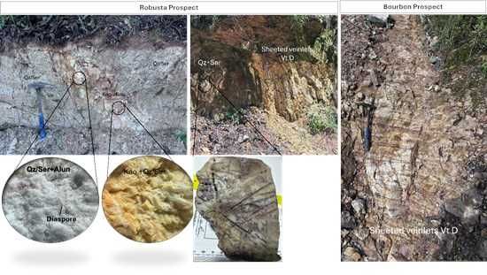 Cannot view this image? Visit: https://images.newsfilecorp.com/files/11347/268861_e6b48ffd5468a922_005.jpg