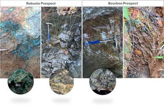 Cannot view this image? Visit: https://images.newsfilecorp.com/files/11347/268861_e6b48ffd5468a922_006.jpg