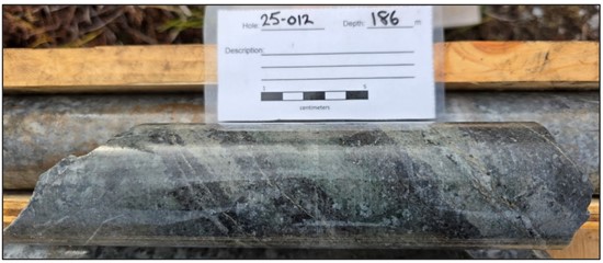 Cannot view this image? Visit: https://topearningguide.com/wp-content/uploads/2025/12/278191_forgeimg2_550.jpg